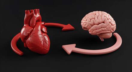 Poster - Heart to Brain Anatomical Connection with Arrows in Red and Pink Isolated on Dark Background