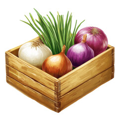 Aufkleber - Rustic wooden crate filled with vibrant onions and fresh chives, culinary delight