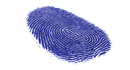 Poster - Detailed Blue Fingerprint on White Background for Security and Identification
