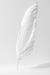 Poster - Single, pristine white feather, elegantly displayed on a plain background.  A simple, minimalist aesthetic