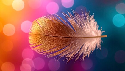close up of beautiful white feather falling with abstract colorful background, graphic resource