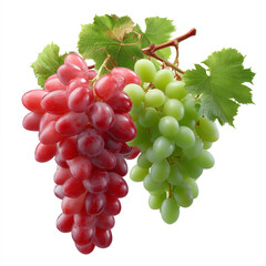 Wall Mural - Red and green grape clusters with leaves isolated on transparent background. isolated white background