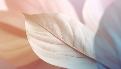 close up of beautiful detail of a leaf with abstract colorful background, graphic resource