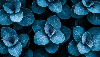 Wall Mural - teal leaves, close-up, garden background, nature texture, website design