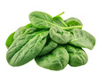 © Nadya - Harvest fresh spinach leaves organic farm food nature isolated on transparent background