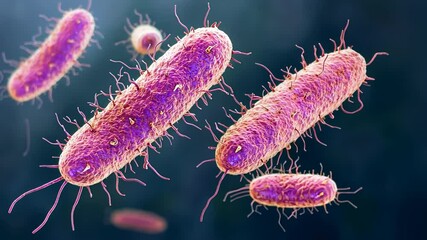 Poster - Bacteria under the microscope reveal intricate structures and vibrant colors in a captivating scientific exploration Generative AI