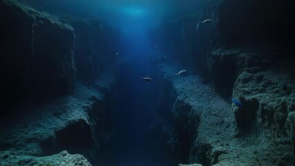 Poster - Group of people swimming together in a calm, deep blue ocean