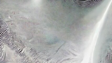 Poster - Abstract Black and White Fluid Background with Wavy Texture and Modern Pattern