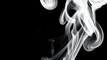 Poster - White Smoke Swirls and Dances in a Black Background: Abstract Motion and Elegant Design