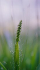Poster - Close-up Of Vibrant Green Grass, A Tiny Blade Reveals Nature's Incredible Texture, Delicate Details Showcase The Beauty Of The Natural World. Freshness, Simplicity, And The Wonders Of Growth Are Here.