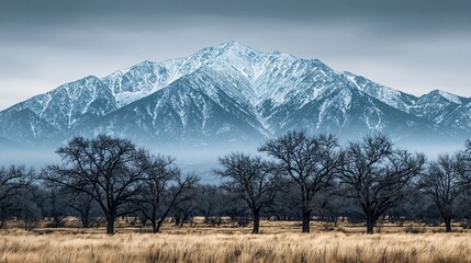 Poster - Majestic mountain range surrounded by lush trees and grass under low-key lighting creating a serene and picturesque nature scene