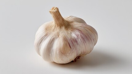 Aufkleber - Close-up of a single garlic head showcasing its papery texture against a crisp white backdrop, ideal for cooking or food styling inspirations with ample space for text