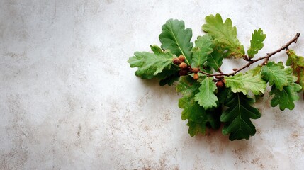 Poster - A delicate oak branch with fresh green leaves rests on textured cream paper, showcasing rustic natural charm and providing ample copy space on the left side