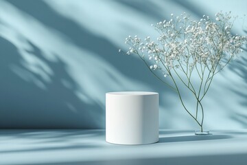 Fototapete - 3D white cylindrical podium on a pastel blue background with a soft shadow and lighting, a minimal scene for a product display presentation mock-up. 
