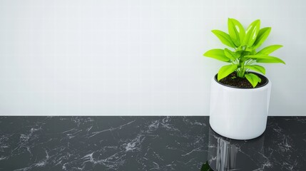 Poster - A stylish white vase holding a lush green plant creating an eye-catching centerpiece for any room