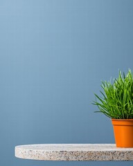 Poster - Vibrant potted plant showcasing its lush foliage on a modern table in an inviting room setting