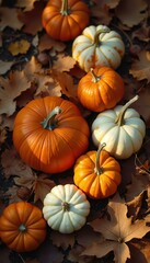 Poster - Autumn Harvest: A Rustic Still Life of Pumpkins and Fallen Leaves in Warm Sunlight