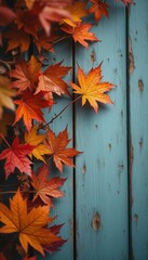 Poster - Autumnal Elegance: Vibrant Maple Leaves Adorn Weathered Blue Wood, Creating a Rich Tapestry of Color and Texture