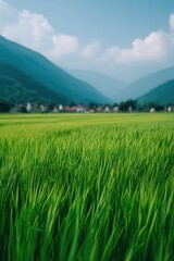 Poster - explore scenic vietnamese landscape with vibrant rice paddies where people in background are blurred