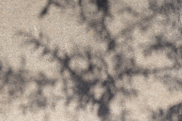 Fototapete - Leaves shadows. Leaves bokeh nature sunny summer cozy background with sunlight. Leaves and trees shadows on gray concrete stone surface. Gray summer background copy space. Concrete wall with sunlight