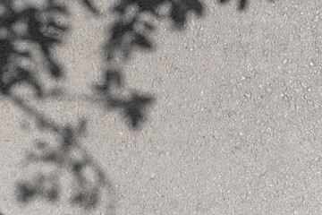 Fototapete - Leaves shadows. Leaves bokeh nature sunny summer cozy background with sunlight. Leaves and trees shadows on gray concrete stone surface. Gray summer background copy space. Concrete wall with sunlight