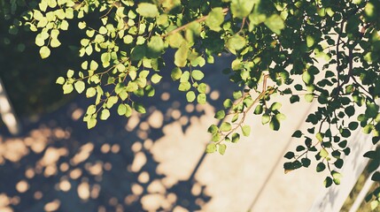 Poster - Lush tree with vibrant green leaves captured through translucent overlays and moody shadow play in an abstract artistic style