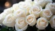 © gentho - A bouquet of beautiful white roses