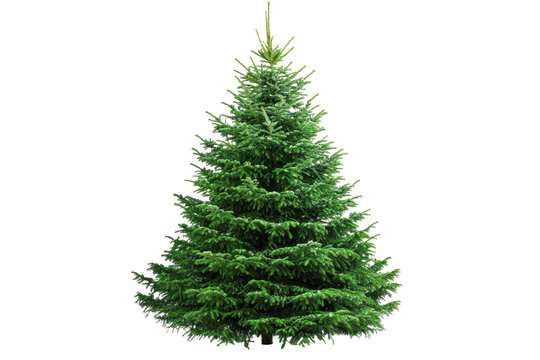 Decorated Christmas tree illustration in PNG format ideal for winter celebration graphics and seasonal marketing materials