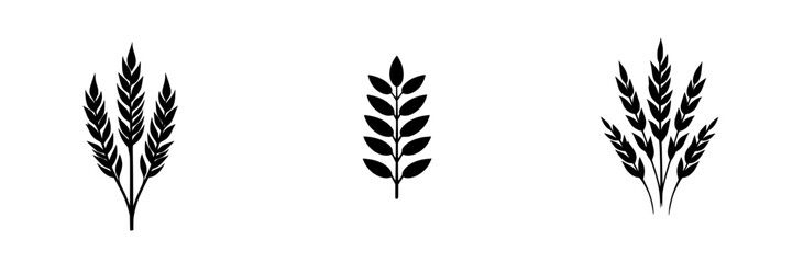 Poster - Collection of silhouette pictograms depicting various types of plant leaves suitable for nature, agriculture, or artistic designs