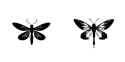 Poster - Silhouette pictograms of two different moth species isolated on a white background