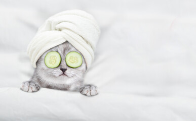 Fototapete - Cute tiny kitten with towel on it head and with a pieces of cucumber on it eyes relaxing on the bed at home. Top down view. Empty space for text