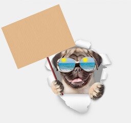 Leinwandbilder - Happy Pug puppy wearing mirrored sunglasses looking through the hole in white paper and showing blank placard