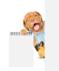 Poster - Happy Mastiff puppy wearing denim overalls with tool belt shows empty list from behind blank white banner. Isolated on white background