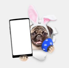 Aufkleber - Happy Mastiff puppy wearing easter rabbits ears holds painted egg and big smartphone with white blank screen through torn white paper hole. Empty free space for mock up