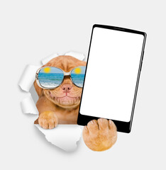 Leinwandbilder - Happy Mastiff puppy wearing mirrored sunglasses holds big smartphone with white blank screen, showing close to camera through torn white paper hole. Empty free space for mock up
