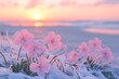 © MySamLobatobrock - Pink flowers in snow at sunrise