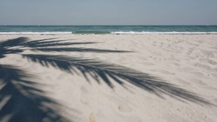 Poster - Gentle waves lap the shore of a pristine white sand beach as the shadow of a palm tree dances across the surface, creating a serene tropical scene