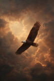 eagle in flight