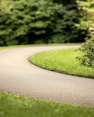 Poster - Serene pathway in a park surrounded by lush greenery and tall trees inviting a peaceful walk