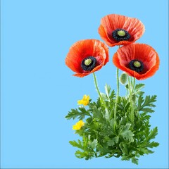 Poster - Trio of beautiful red flowers elegantly arranged in a stylish vase creating a stunning display