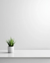 Aufkleber - Minimalist scene of green plant in white pot against white wall conveying serenity and harmony in interior design