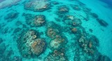 Aerial view of coral reef formations in turquoise waters, teeming with marine life, showcasing a vibrant underwater ecosystem.