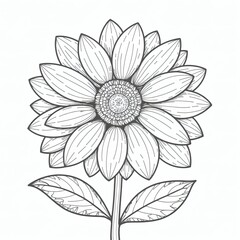 Poster - an intricate line drawing of a sunflower, with its detailed petals and leaves. The image is a monochrome illustration