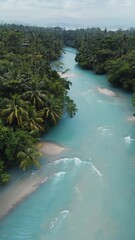 Poster - Aerial shot of winding river cutting through dense tropical forest..

