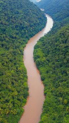 Poster - Aerial shot of winding river cutting through dense tropical forest..


