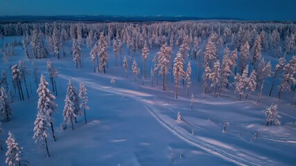 Poster - Snow-covered pine forest viewed from top with winding narrow path cutting through..

