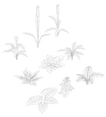 Poster - A drawing of various plants and flowers, including a leafy plant and a flower. The drawing is in black and white and he is a sketch or a drawing of a garden. Isometric view. 3D