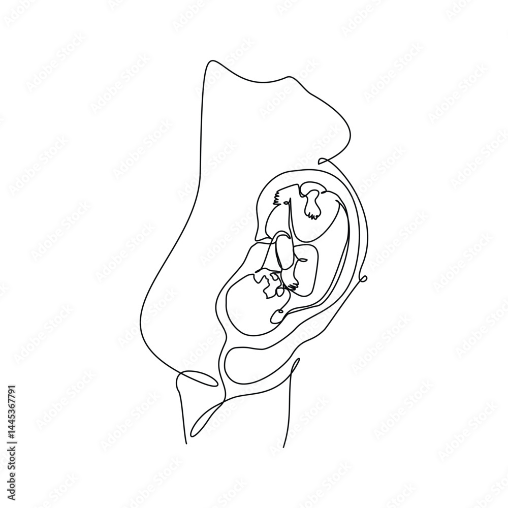 Vector de Stock Continuous single line of baby fetus in mother womb ...
