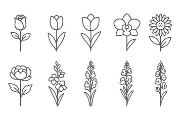 Poster - Vector icon collection of various flower designs showcasing a range of floral types in a minimalist style