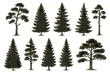 Poster - Collection of vector tree icons representing various tree types and styles suitable for design projects